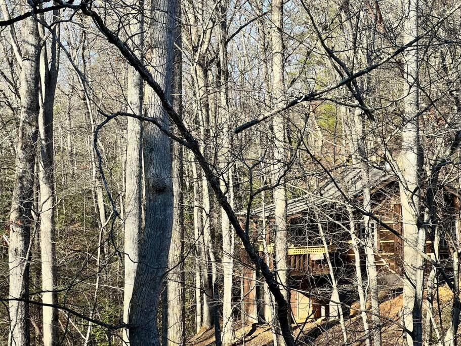 Boozy Bear Bungalow Romantic Cabin 5 Mins 2 Downtown With Hot Tub And Fire Pit Gatlinburg Esterno foto